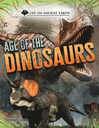 bokomslag Age of the Dinosaurs