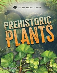 bokomslag Prehistoric Plants