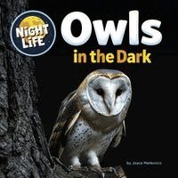 Joyce Markovics - Owls in the Dark, Häftad