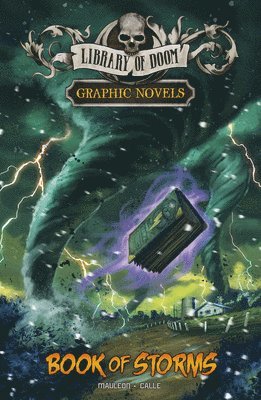 bokomslag Book of Storms