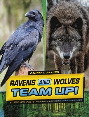 bokomslag Ravens and Wolves Team Up!