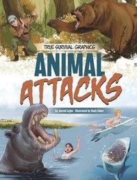 bokomslag Animal Attacks