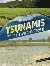 bokomslag Tsunamis and the Environment