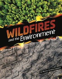 bokomslag Wildfires and the Environment