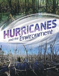 bokomslag Hurricanes and the Environment