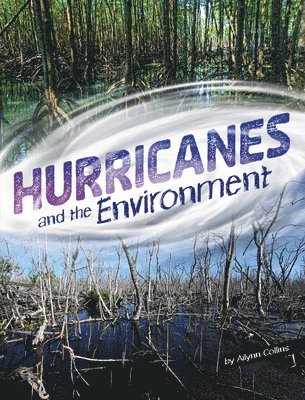 bokomslag Hurricanes and the Environment