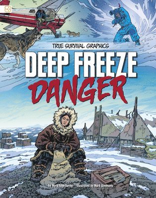 bokomslag Deep Freeze Danger