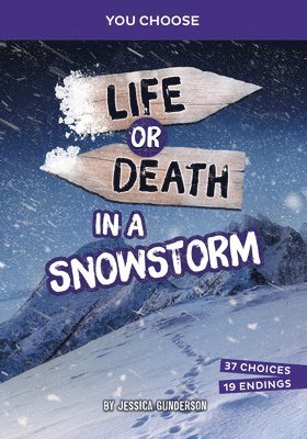 bokomslag Life or Death in a Snowstorm