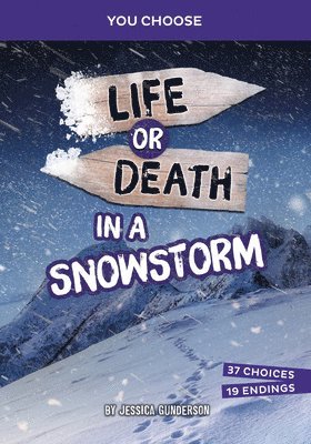 bokomslag Life or Death in a Snowstorm: An Interactive Survival Adventure