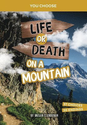 bokomslag Life or Death on a Mountain