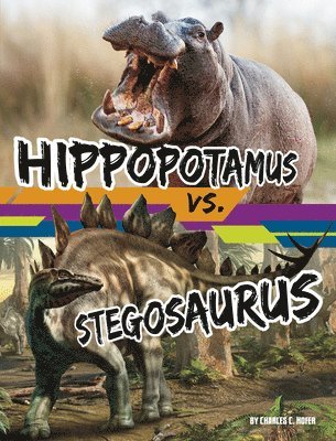 bokomslag Hippopotamus vs. Stegosaurus