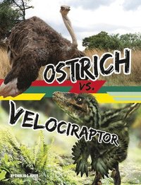 bokomslag Ostrich vs. Velociraptor