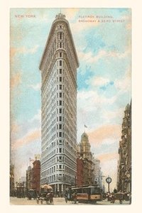 bokomslag Vintage Journal Flatiron Building, New York City