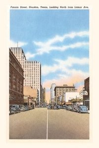 bokomslag Vintage Journal Fannin Street, Houston, Texas