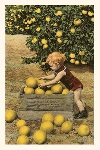 bokomslag Vintage Journal Child with Crate of Grapefruit