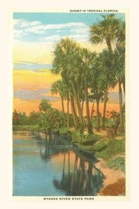 bokomslag Vintage Journal Sunset in Tropical Florida, Myakka River State Park