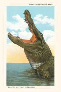 bokomslag Vintage Journal Gaping Alligator, Myakka State Park, Florida