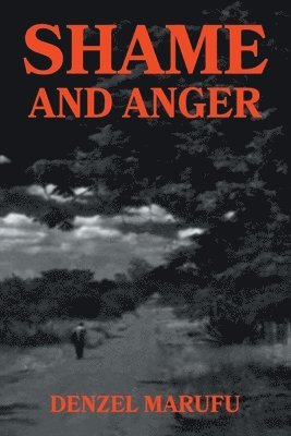 Shame & Anger 1