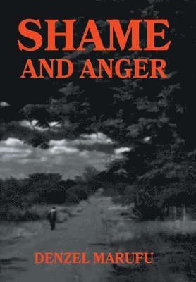 bokomslag Shame & Anger