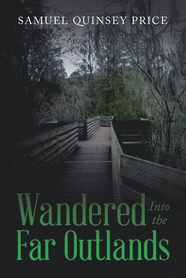 Wandered Into the Far Outlands