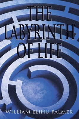 bokomslag Labyrinth of Life