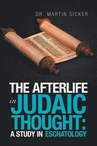 bokomslag Afterlife in Judaic Thought