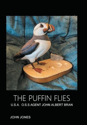 bokomslag Puffin Flies