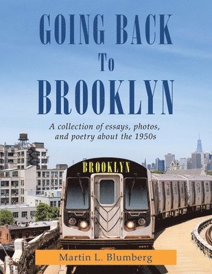 bokomslag Going Back to Brooklyn