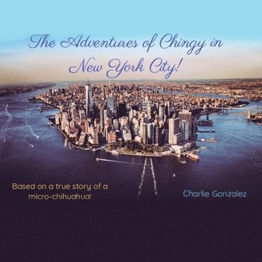 bokomslag Adventures of Chingy in New York City!