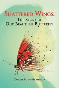 bokomslag Shattered Wings
