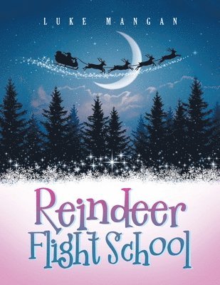 bokomslag Reindeer Flight School