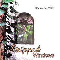 bokomslag Stripped Windows