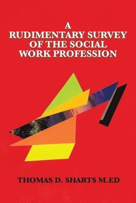 bokomslag Rudimentary Survey of the Social Work Profession