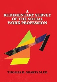 bokomslag A Rudimentary Survey of the Social Work Profession