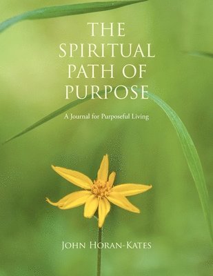 bokomslag Spiritual Path of Purpose