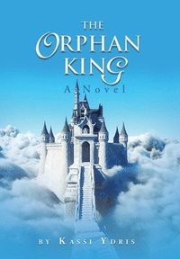 bokomslag Orphan King
