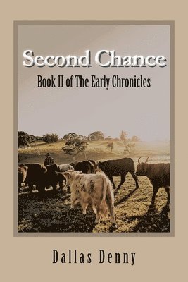 Second Chance 1