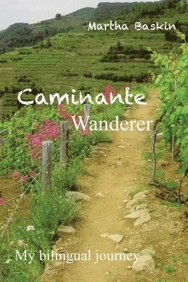 Caminante - Wanderer 1