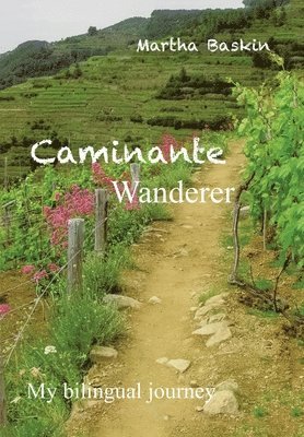 bokomslag Caminante - Wanderer