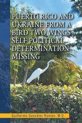 bokomslag Puerto Rico and Ukraine from a Bird Two Wings- Self Political Determination Missing