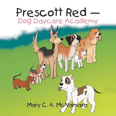 Mary C a McNamara, Mary C. a. McNamara, Mary C. A. McNamara - Prescott Red - Dog Daycare Academy, Häftad
