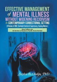 bokomslag Effective Management of Mental Illness Without Widening Recidivism in Contemporary Correctional Setting