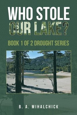 B A Mihalchick, B. A. Mihalchick - Who Stole Our Lake?, Häftad