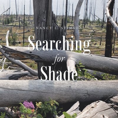 Searching for Shade 1