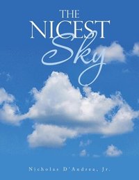 bokomslag The Nicest Sky