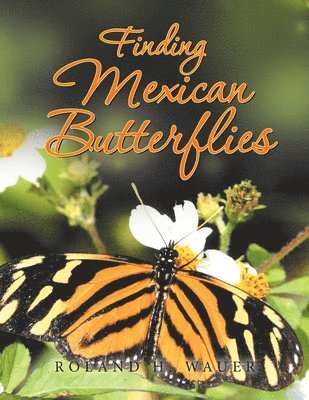 Roland H Wauer - Finding Mexican Butterflies, Häftad