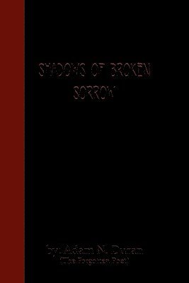 bokomslag Shadows of Broken Sorrow