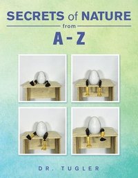 bokomslag Secrets of Nature from A-Z