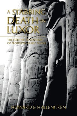 A Stabbing Death in Luxor 1