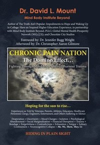 bokomslag Chronic Pain Nation